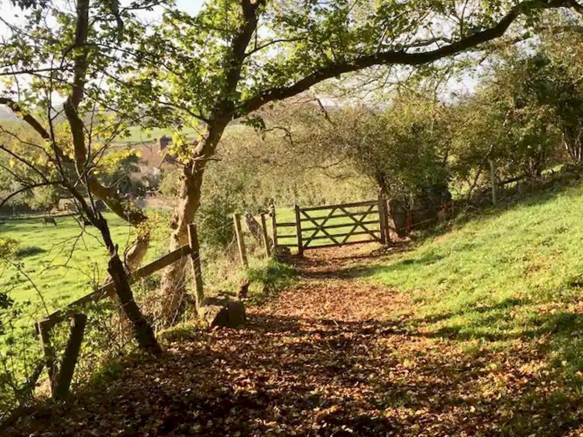 Holiday home Pass The Keys Goose Feather Barn, Luxury For Two Wedmore